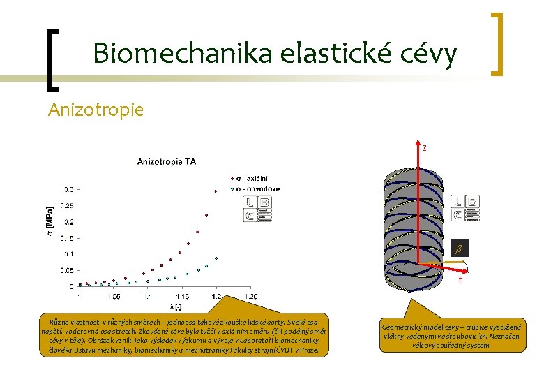 Biomechanika elastické cévy Anizotropie z b t Různé vlastnosti v různých směrech – jednoosá