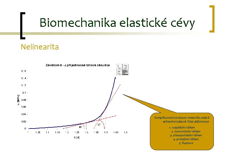 Biomechanika elastické cévy Nelinearita Komplikovaná struktura materiálu vede k nelineární odezvě. Fáze deformace: 1.