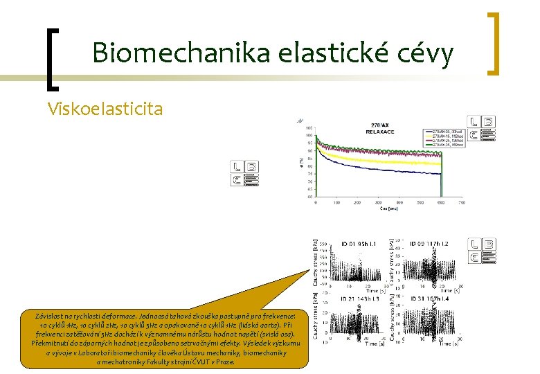 Biomechanika elastické cévy Viskoelasticita Závislost na rychlosti deformace. Jednoosá tahová zkouška postupně pro frekvence: