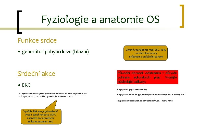 Fyziologie a anatomie OS Funkce srdce • generátor pohybu krve (hlavní) Srdeční akce •