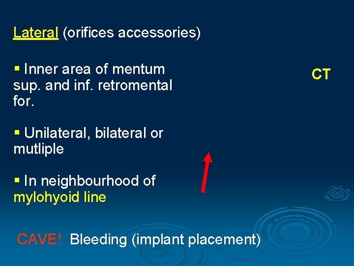 Lateral (orifices accessories) § Inner area of mentum sup. and inf. retromental for. §