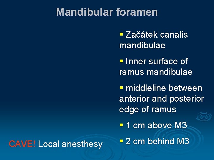 Mandibular foramen § Začátek canalis mandibulae § Inner surface of ramus mandibulae § middleline
