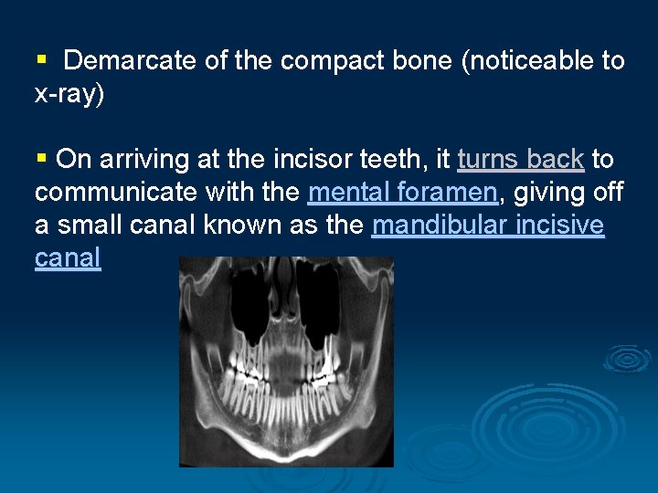 § Demarcate of the compact bone (noticeable to x-ray) § On arriving at the