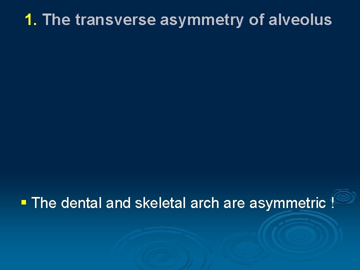1. The transverse asymmetry of alveolus § The dental and skeletal arch are asymmetric