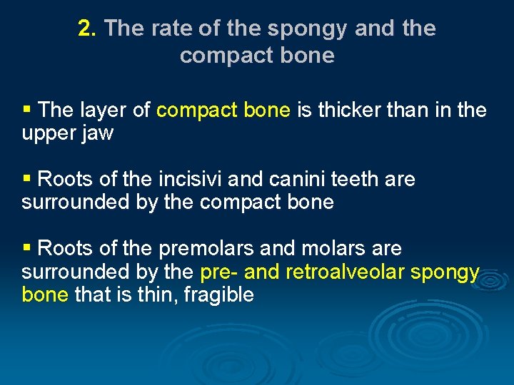 2. The rate of the spongy and the compact bone § The layer of