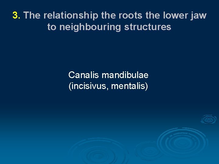 3. The relationship the roots the lower jaw to neighbouring structures Canalis mandibulae (incisivus,