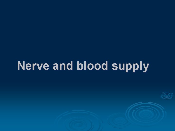 Nerve and blood supply 