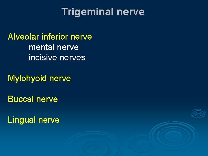 Trigeminal nerve Alveolar inferior nerve mental nerve incisive nerves Mylohyoid nerve Buccal nerve Lingual