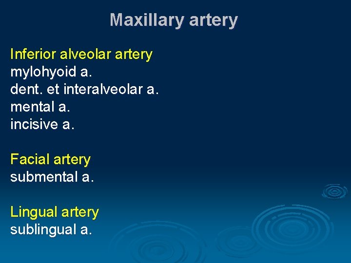 Maxillary artery Inferior alveolar artery mylohyoid a. dent. et interalveolar a. mental a. incisive