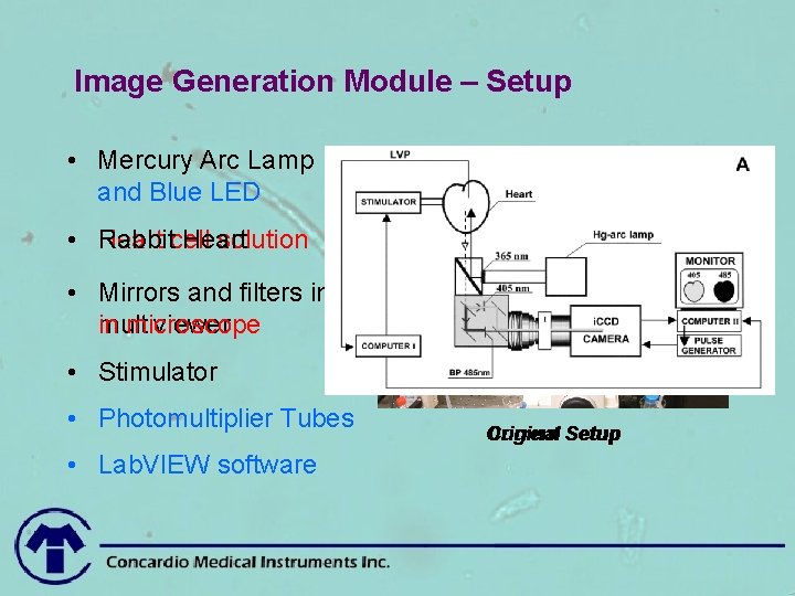 Image Generation Module – Setup • Mercury Arc Lamp and Blue LED • Rabbit