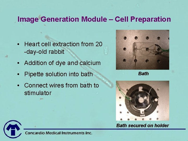 Image Generation Module – Cell Preparation • Heart cell extraction from 20 -day-old rabbit