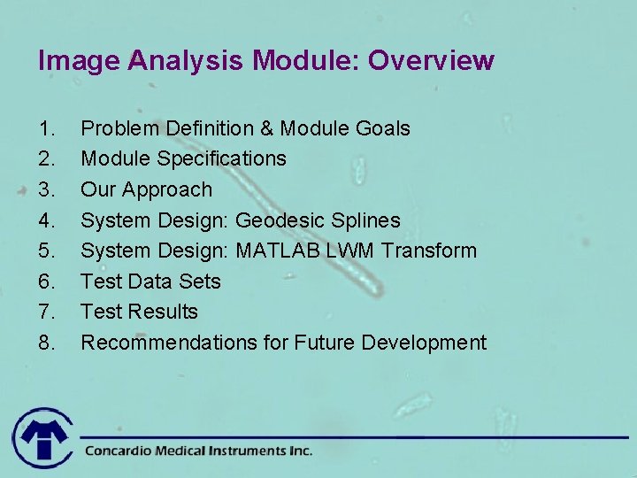 Image Analysis Module: Overview 1. 2. 3. 4. 5. 6. 7. 8. Problem Definition