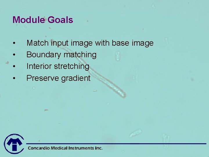 Module Goals • • Match input image with base image Boundary matching Interior stretching