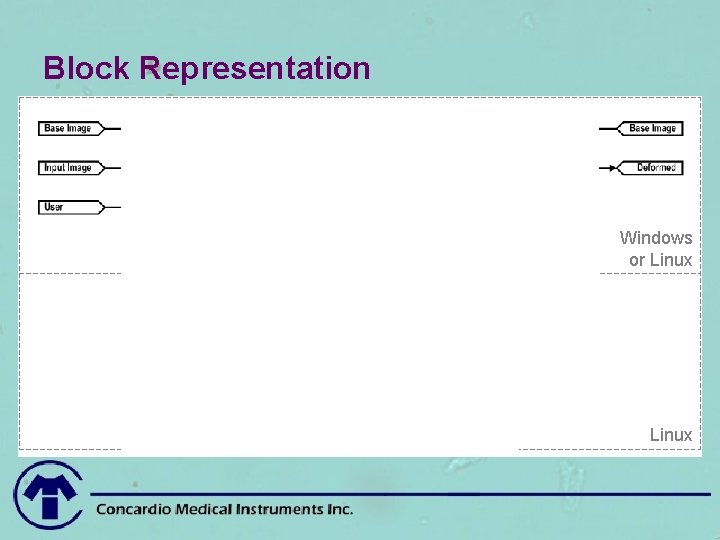 Block Representation Windows or Linux 