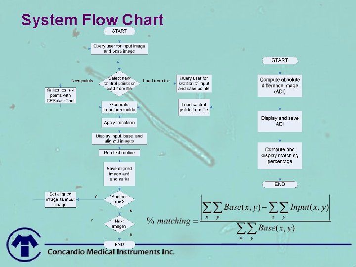 System Flow Chart 