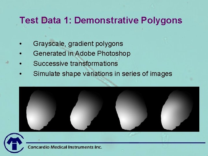 Test Data 1: Demonstrative Polygons • • Grayscale, gradient polygons Generated in Adobe Photoshop