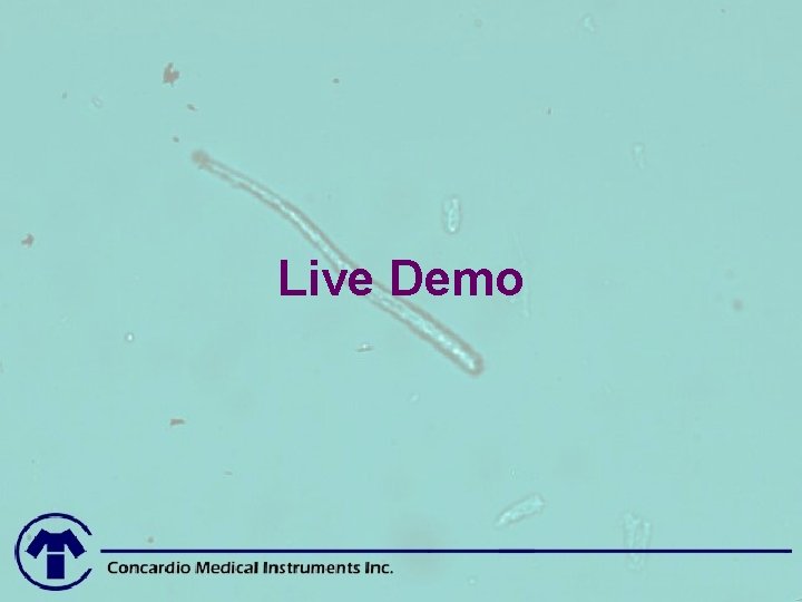 Live Demo 