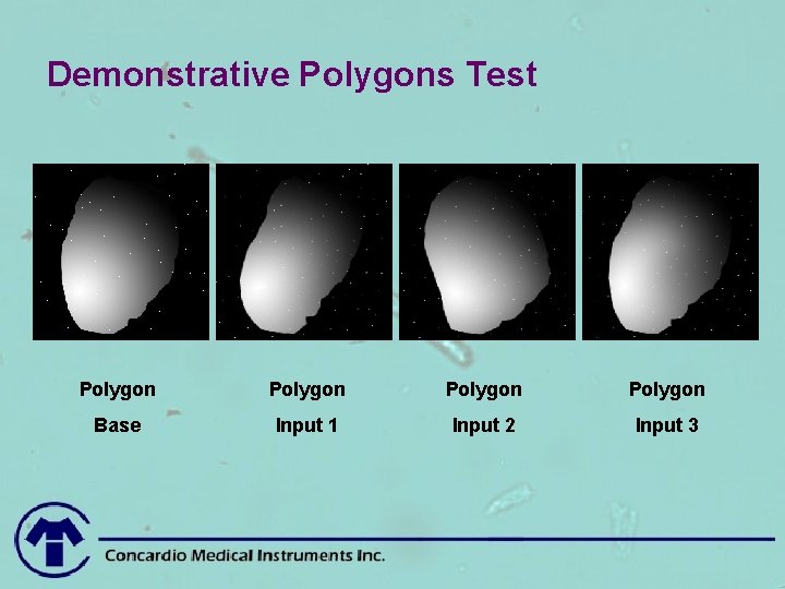 Demonstrative Polygons Test Polygon Base Input 1 Input 2 Input 3 
