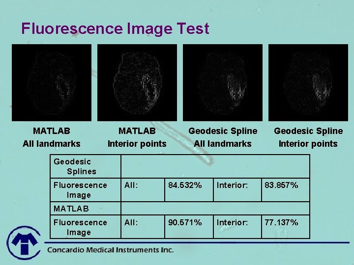 Fluorescence Image Test MATLAB All landmarks MATLAB Interior points Geodesic Spline All landmarks Geodesic