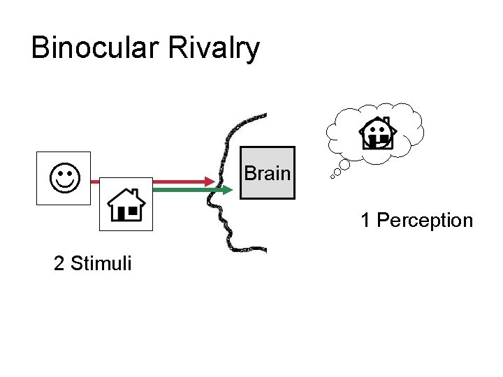 Binocular Rivalry J J Brain 1 Perception 2 Stimuli 