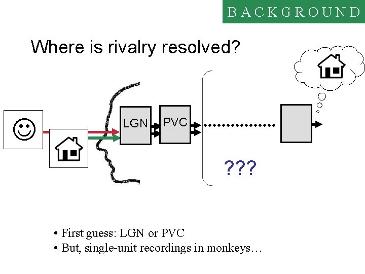 BACKGROUND Where is rivalry resolved? J LGN PVC ? ? ? • First guess: