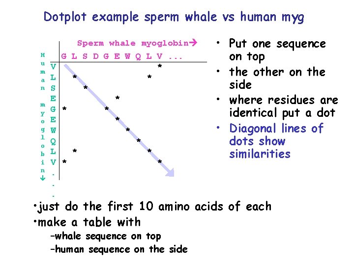 Dotplot example sperm whale vs human myg H u m a n m y