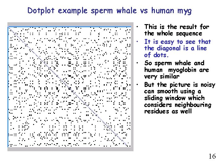 Dotplot example sperm whale vs human myg H u m a n m y