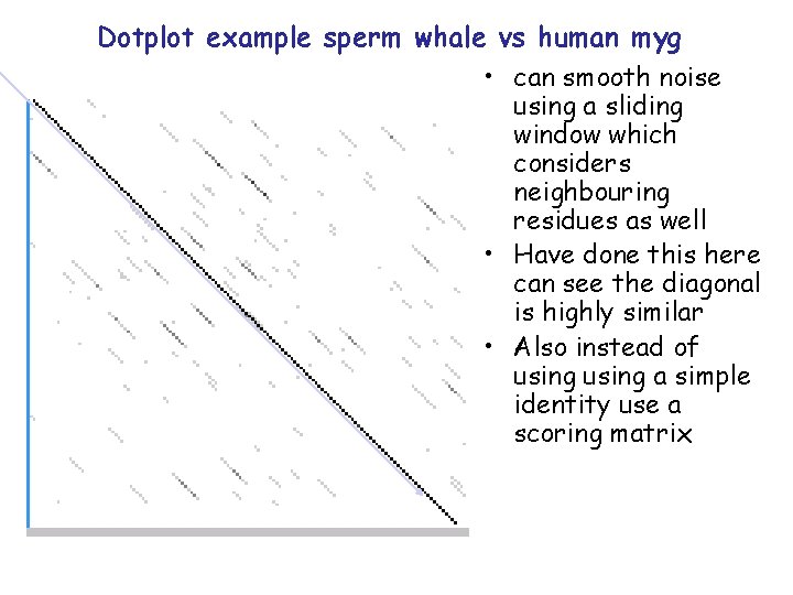 Dotplot example sperm whale vs human myg • can smooth noise using a sliding