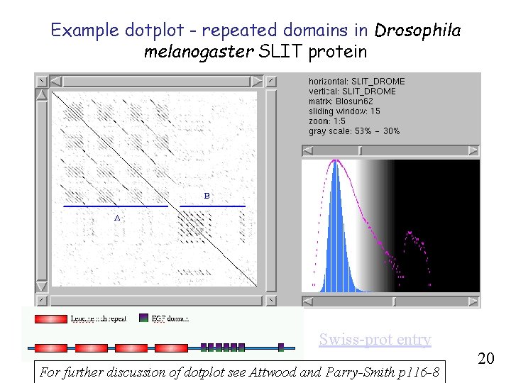 Example dotplot - repeated domains in Drosophila melanogaster SLIT protein Swiss-prot entry For further