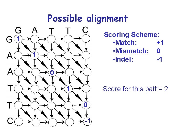 Possible alignment Scoring Scheme: • Match: +1 • Mismatch: 0 • Indel: -1 1