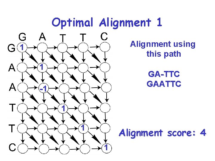 Optimal Alignment 1 Alignment using this path 1 1 GA-TTC GAATTC -1 1 1 Optimal Alignment 1 Alignment using this path 1 1 GA-TTC GAATTC -1 1 1