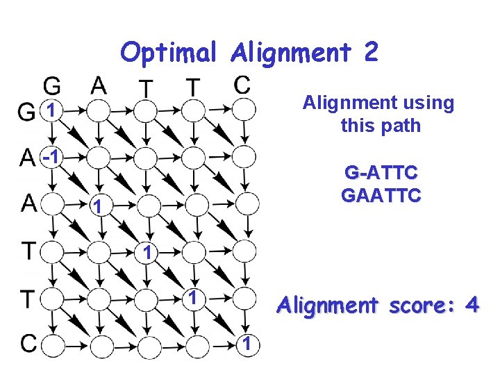 Optimal Alignment 2 Alignment using this path 1 -1 G-ATTC GAATTC 1 1 1 Optimal Alignment 2 Alignment using this path 1 -1 G-ATTC GAATTC 1 1 1