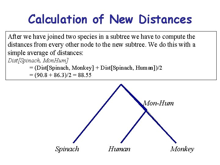 Calculation of New Distances After we have joined two species in a subtree we