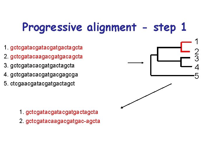 Progressive alignment - step 1 1. gctcgatacgatgactagcta 2. gctcgatacaagacgatgacagcta 3. gctcgatacacgatgactagcta 4. gctcgatacacgatgacgagcga 5. Progressive alignment - step 1 1. gctcgatacgatgactagcta 2. gctcgatacaagacgatgacagcta 3. gctcgatacacgatgactagcta 4. gctcgatacacgatgacgagcga 5.