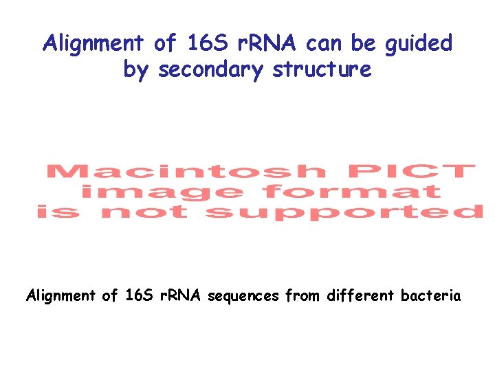 Alignment of 16 S r. RNA can be guided by secondary structure Alignment of Alignment of 16 S r. RNA can be guided by secondary structure Alignment of