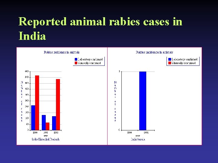 Reported animal rabies cases in India 