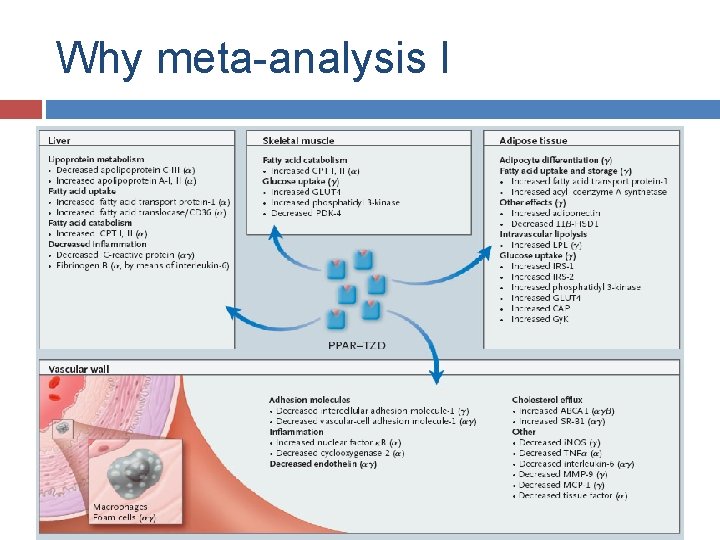 Why meta-analysis I 