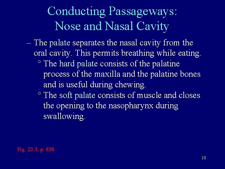 Conducting Passageways: Nose and Nasal Cavity – The palate separates the nasal cavity from