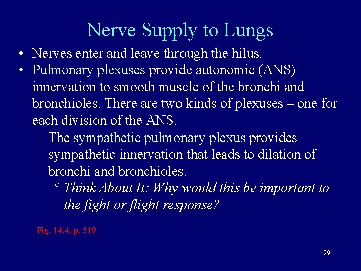 Nerve Supply to Lungs • Nerves enter and leave through the hilus. • Pulmonary