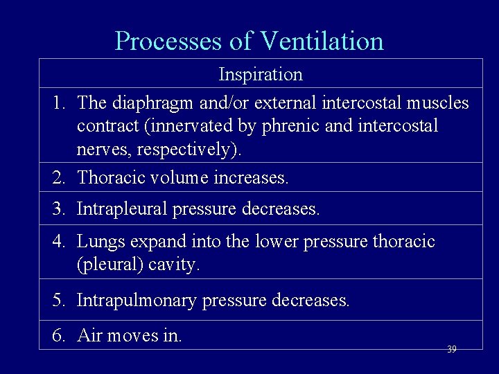Processes of Ventilation Inspiration 1. The diaphragm and/or external intercostal muscles contract (innervated by