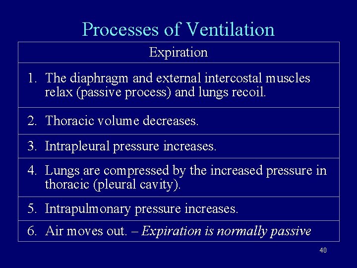 Processes of Ventilation Expiration 1. The diaphragm and external intercostal muscles relax (passive process)