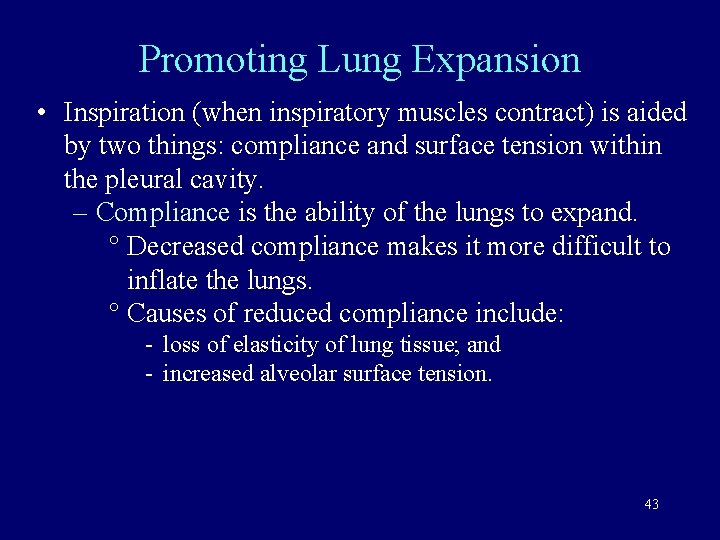 Promoting Lung Expansion • Inspiration (when inspiratory muscles contract) is aided by two things: