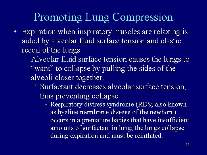 Promoting Lung Compression • Expiration when inspiratory muscles are relaxing is aided by alveolar