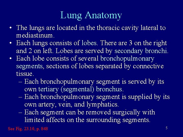 Lung Anatomy • The lungs are located in the thoracic cavity lateral to mediastinum.