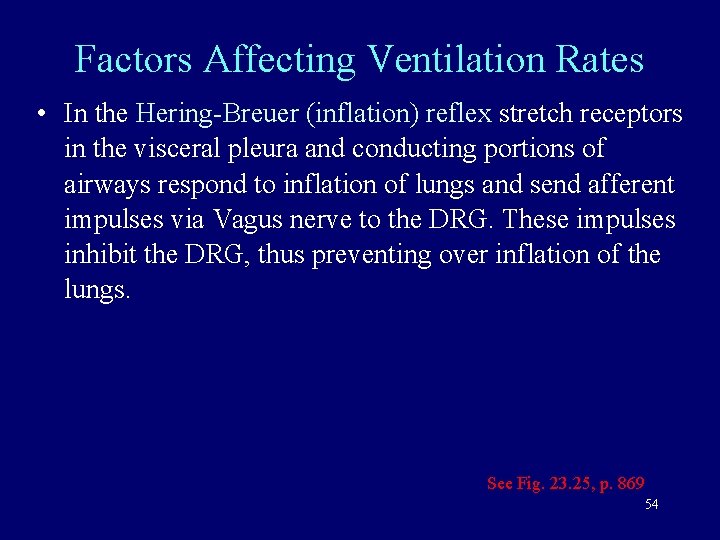 Factors Affecting Ventilation Rates • In the Hering-Breuer (inflation) reflex stretch receptors in the