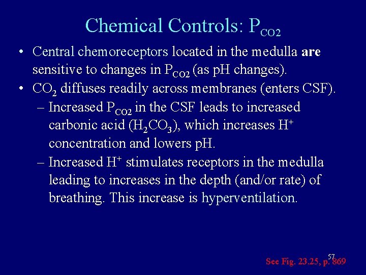 Chemical Controls: PCO 2 • Central chemoreceptors located in the medulla are sensitive to