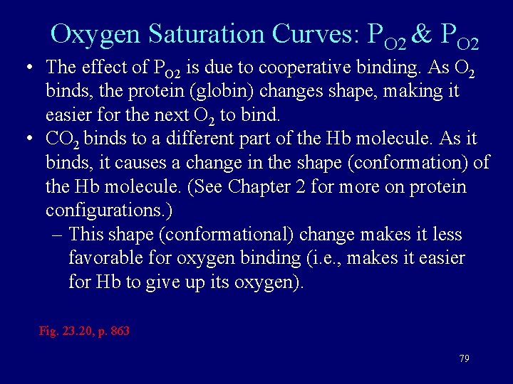 Oxygen Saturation Curves: PO 2 & PO 2 • The effect of PO 2