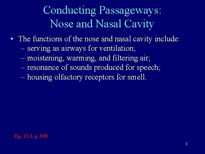 Conducting Passageways: Nose and Nasal Cavity • The functions of the nose and nasal