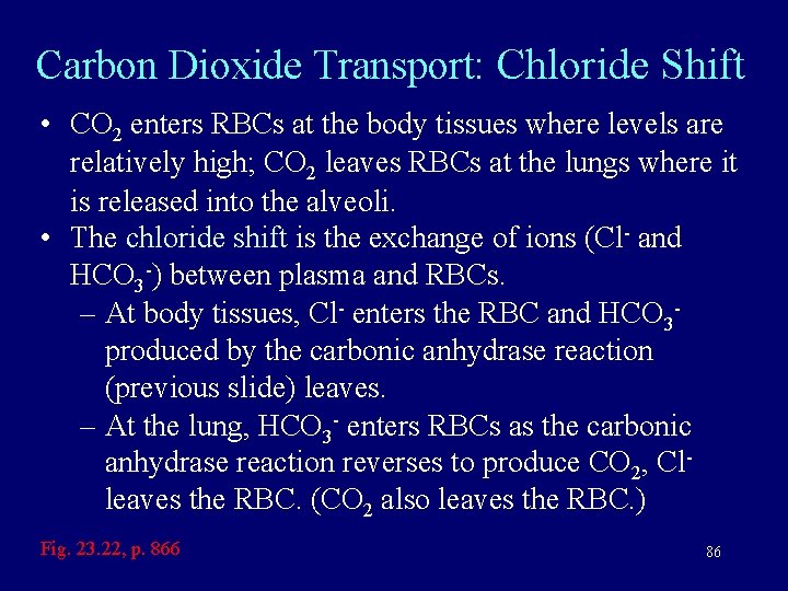 Carbon Dioxide Transport: Chloride Shift • CO 2 enters RBCs at the body tissues