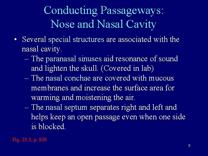 Conducting Passageways: Nose and Nasal Cavity • Several special structures are associated with the